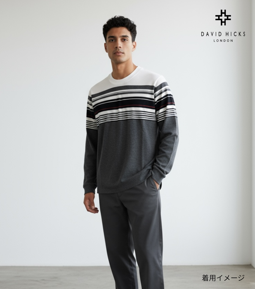 <新作> パネルボーダーロンT【デービッドヒックス】