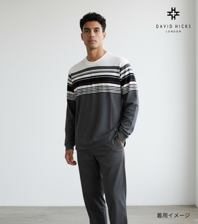 パネルボーダーロンT【デービッドヒックス】
