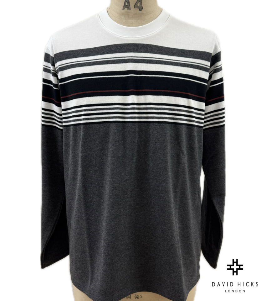 <新作> パネルボーダーロンT【デービッドヒックス】