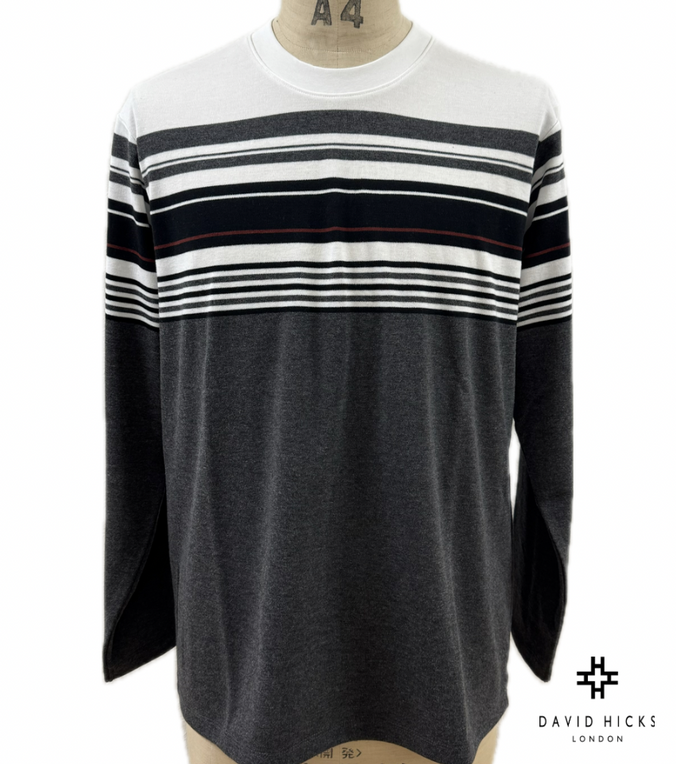 パネルボーダーロンT【デービッドヒックス】