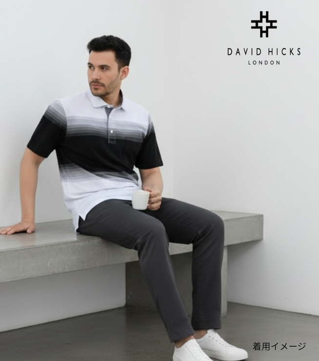 カノコグラデーションボーダーポロシャツ【デービッドヒックス】